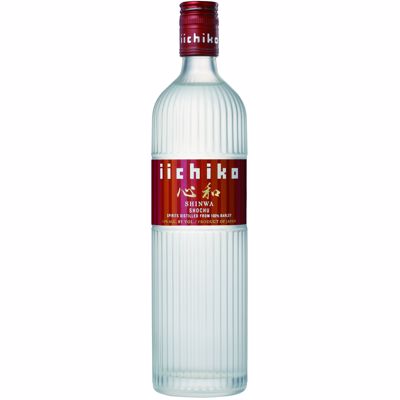 Iichiko心和2025(CMYK)