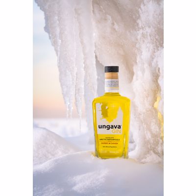 Ungava 2