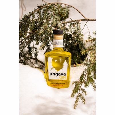 Ungava 4