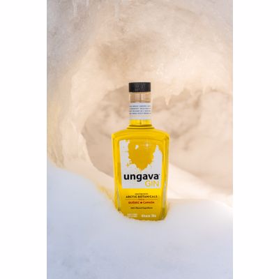 Ungava 1