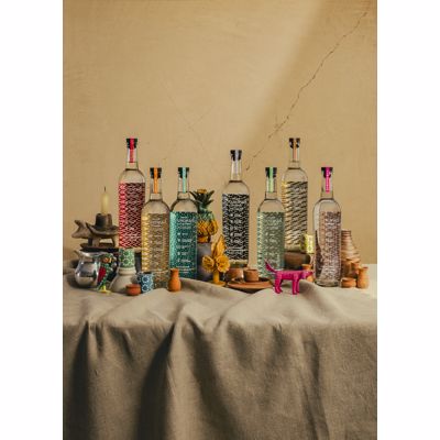 Derrumbesmezcal Familia2